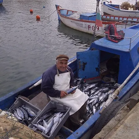 アパートホテル Marina Cape Vacation Complex 4*