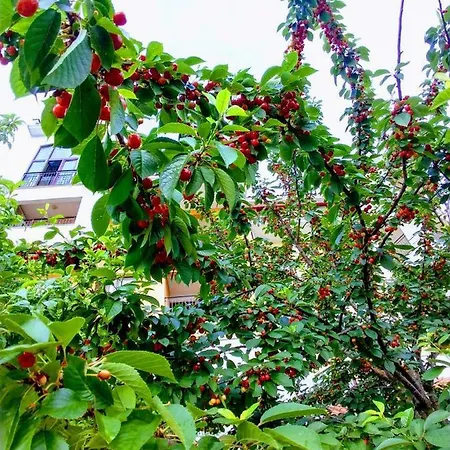 Marina Cape Vacation Complex 4* ラヴダ