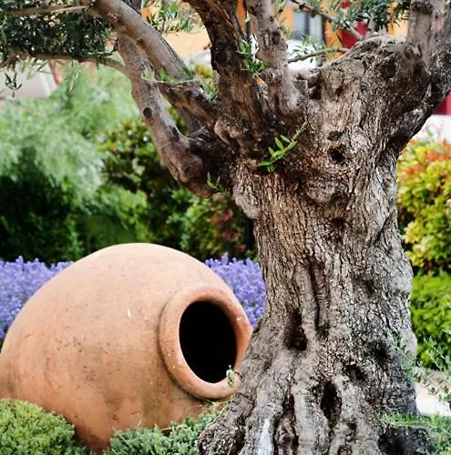 Apartahotel Marina Cape Vacation Complex Ravda