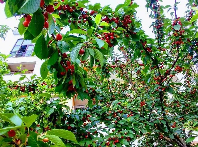 Marina Cape Vacation Complex 4* Ravda