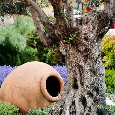 Aparthotel Marina Cape Vacation Complex Rawda