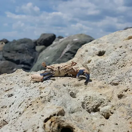 Marina Cape Vacation Complex